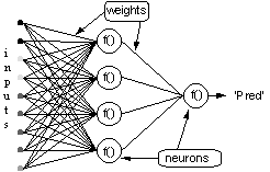 Back Propagation