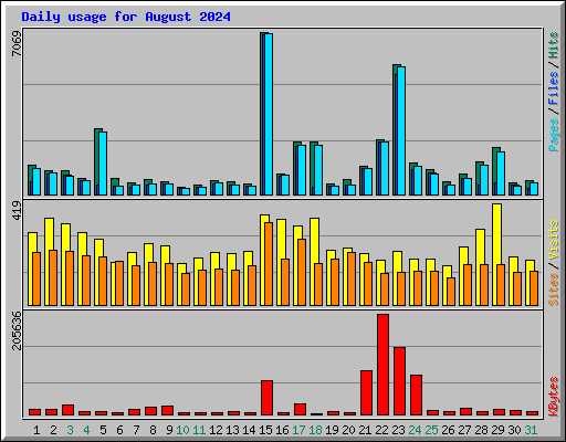 Daily usage for August 2024