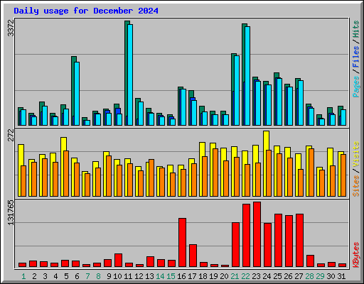 Daily usage for December 2024