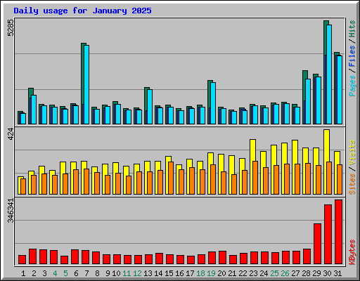 Daily usage for January 2025
