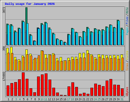 Daily usage for January 2026