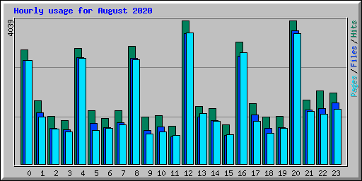 Hourly usage for August 2020
