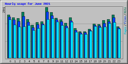 Hourly usage for June 2021