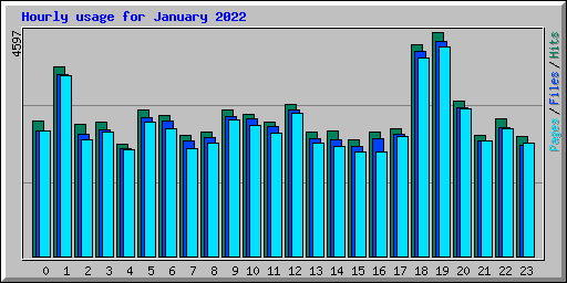 Hourly usage for January 2022
