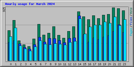 Hourly usage for March 2024