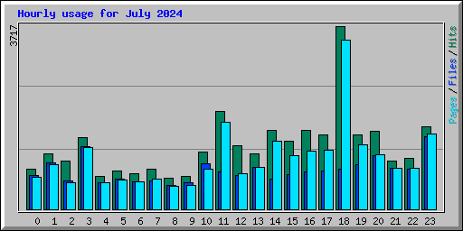 Hourly usage for July 2024