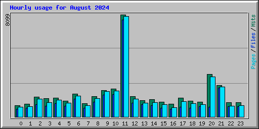 Hourly usage for August 2024