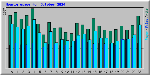 Hourly usage for October 2024