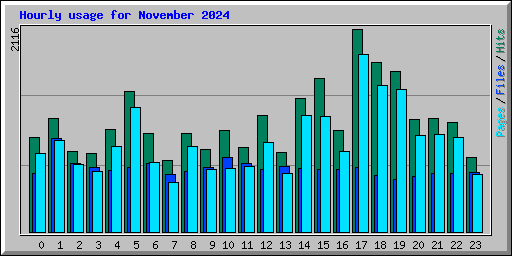Hourly usage for November 2024