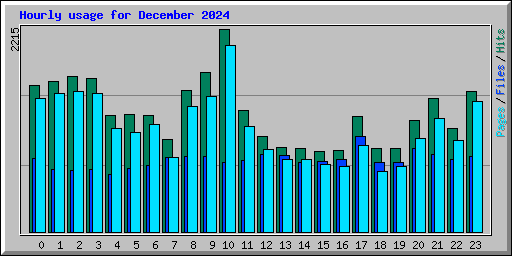 Hourly usage for December 2024