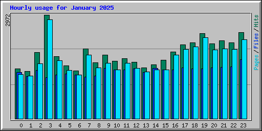 Hourly usage for January 2025
