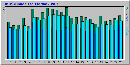 Hourly usage for February 2025