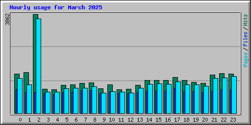 Hourly usage for March 2025