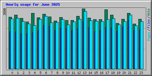 Hourly usage for June 2025