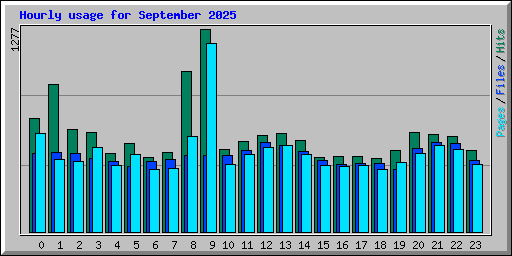 Hourly usage for September 2025