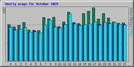 Hourly usage for October 2025