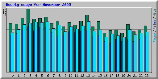 Hourly usage for November 2025