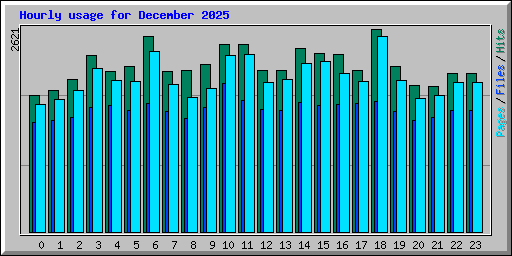 Hourly usage for December 2025