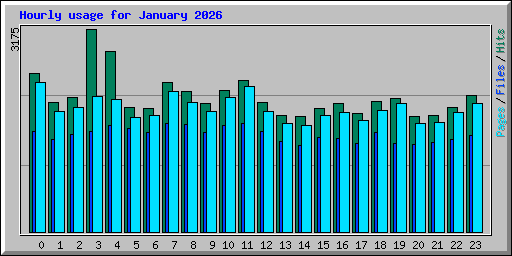 Hourly usage for January 2026