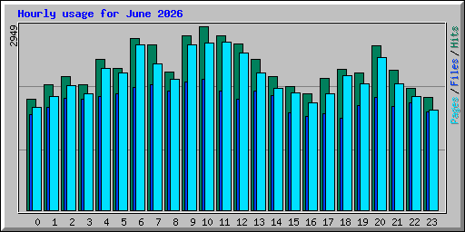Hourly usage for June 2026